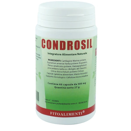 CONDROSIL 60CPS