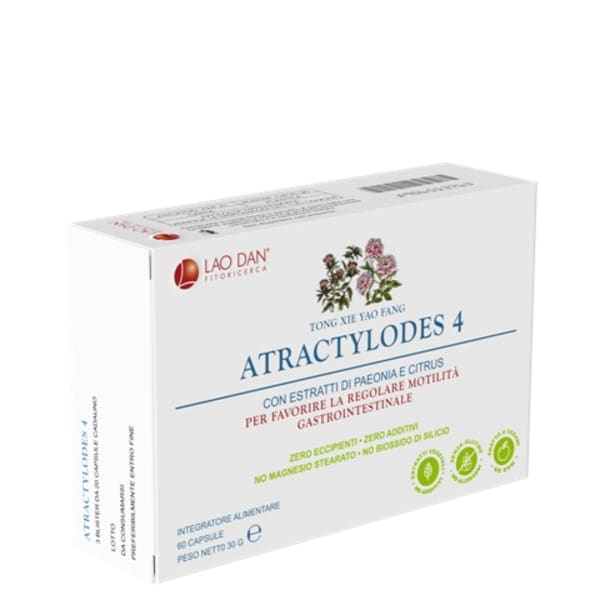 ATRACTYLODES 4 60CPS
