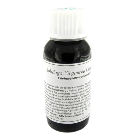 LVS 07N SOLIDAGO VIRGAURE COMP