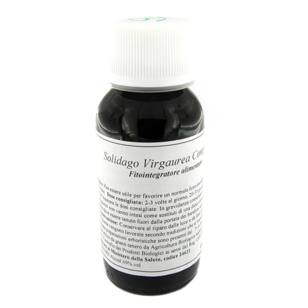 LVS 07N SOLIDAGO VIRGAURE COMP