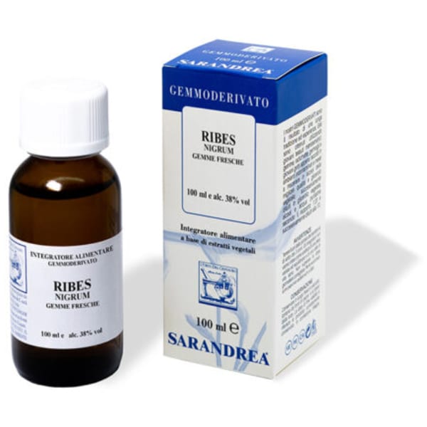 RIBES NIGRUM 100ML MG