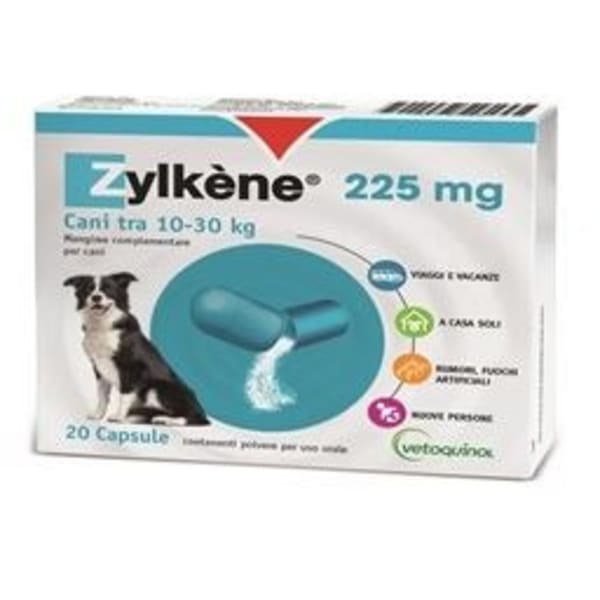 ZYLKENE CANI 10-30KG 20CPS
