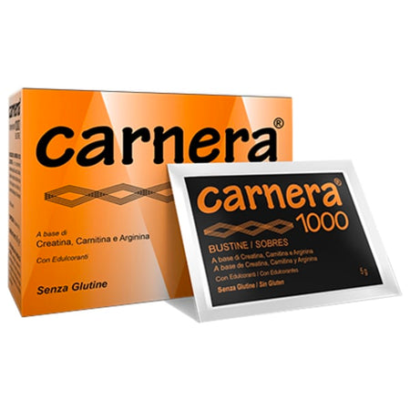 CARNERA 1000 18BUST