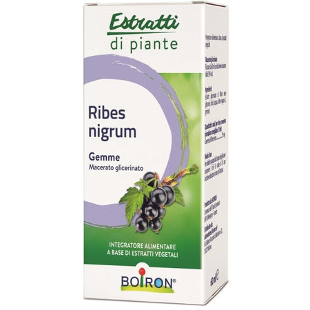 RIBES NIGRUM BOIRON MG 60ML