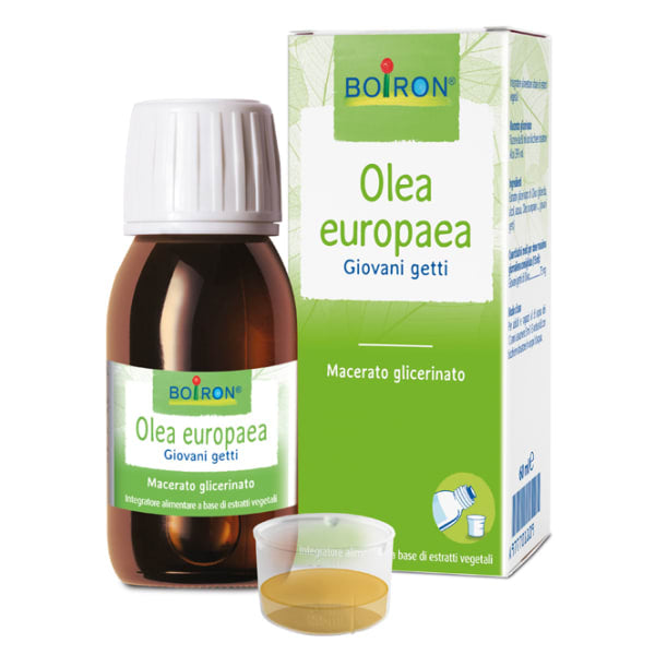OLEA EUROPAEA BOIRON MG 60ML