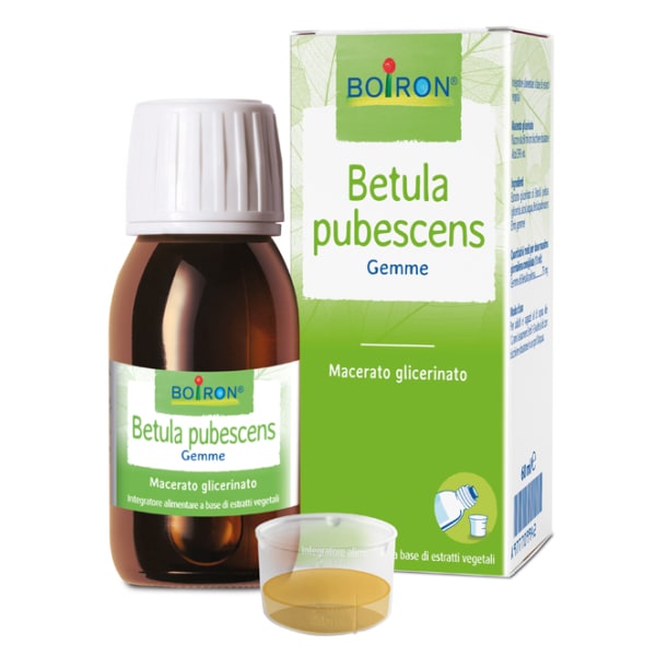 BETULA PUBESC BOIRON MG 60ML