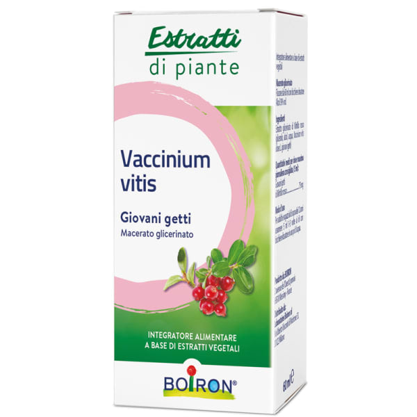 VACCINIUM VITIS MG 60ML