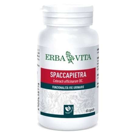 SPACCAPIETRA 60CPS