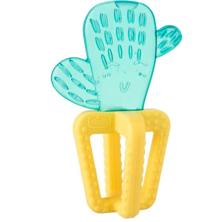 CH MASSAGGIA FRESH CACTUS 4M+
