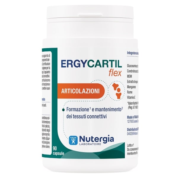 ERGYCARTIL FLEX 90CPS