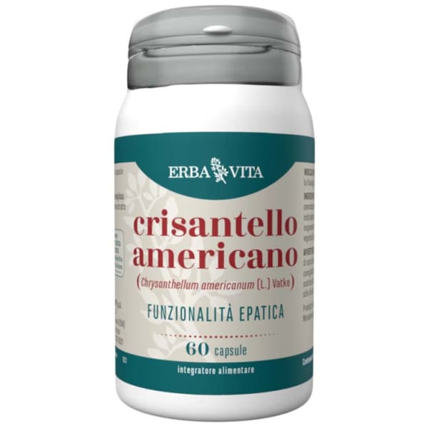 CRISANTELLO AMERICANO 60CPS
