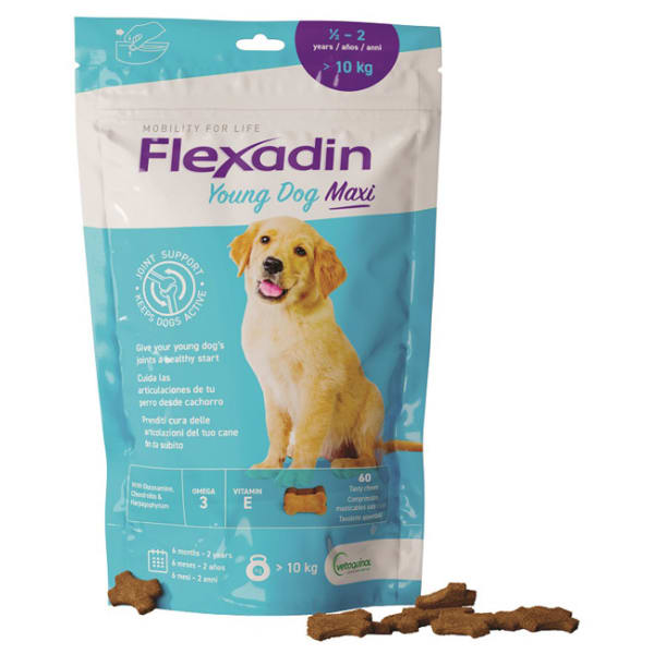 FLEXADIN YOUNG DOG MAXI 60TAV
